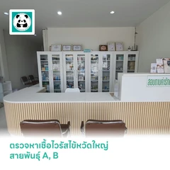 ตรวจหาเชื้อไวรัสไข้หวัดใหญ่ สายพันธุ์ A, B