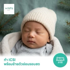 ทำ ICSI พร้อมย้ายตัวอ่อนรอบสด 1 ครั้ง
