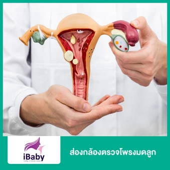 ส่องกล้องตรวจโพรงมดลูก