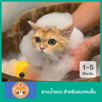 อาบน้ำแมว สำหรับแมวขนสั้น น้ำหนัก 1-5 กก.
