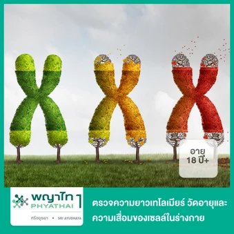 ตรวจความยาวเทโลเมียร์ วัดอายุและความเสื่อมของเซลล์ในร่างกาย (Telomere Length) สำหรับผู้ที่อายุ 18 ปีขึ้นไป