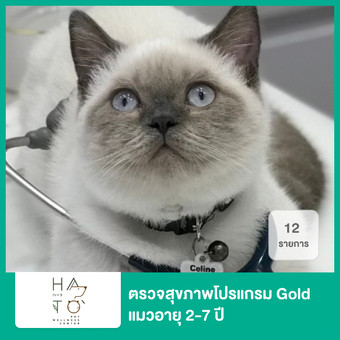 ตรวจสุขภาพประจำปี โปรแกรม Gold 12 รายการ สำหรับแมวอายุ 2-7 ปี ที่ Hato Pet  Wellness Center - ราคา 2566 (2023) | Hdmall