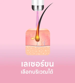 beauty banner 0