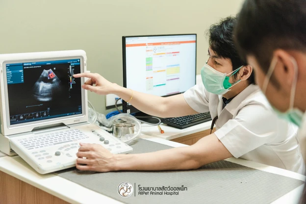 Allpet Animal Hospital photo main