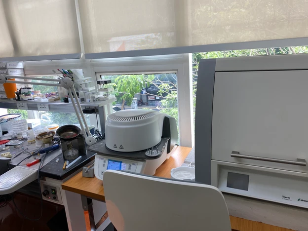 NP International Dental Clinic photo main