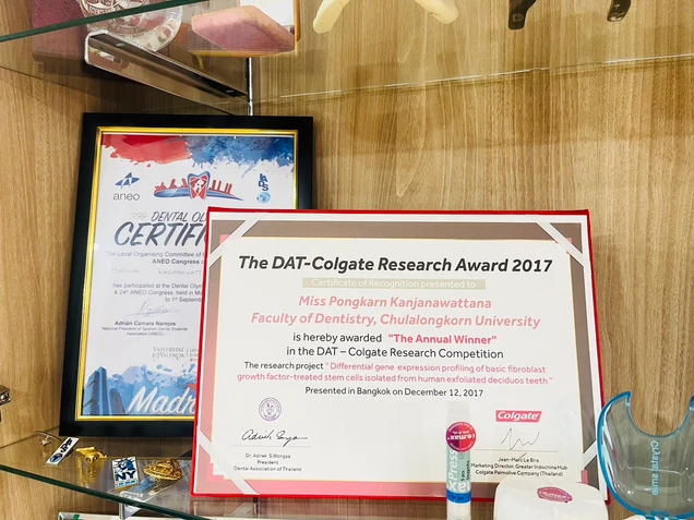 Hachi Dental Clinic certificate 7