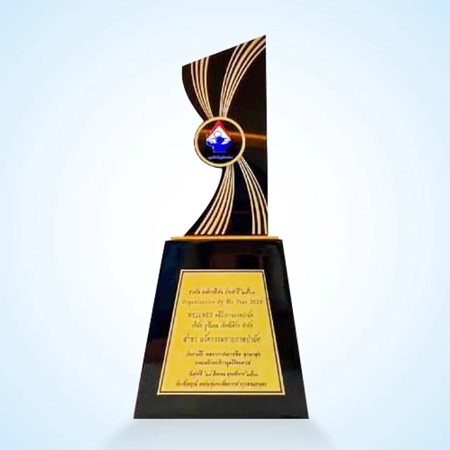 Wellnex Clinic certificate 0