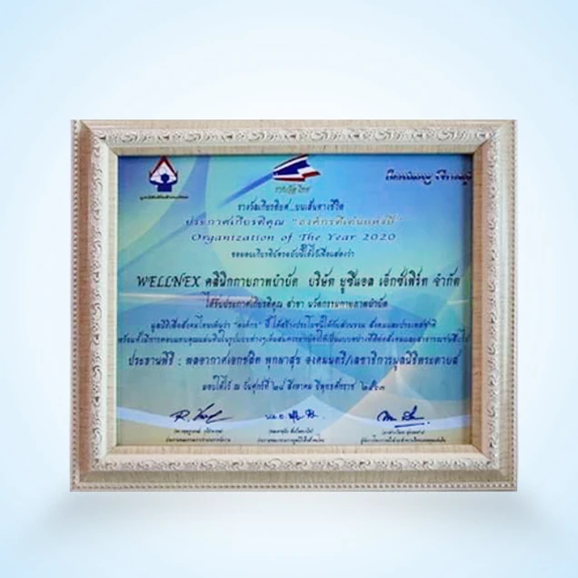 Wellnex Clinic certificate 2