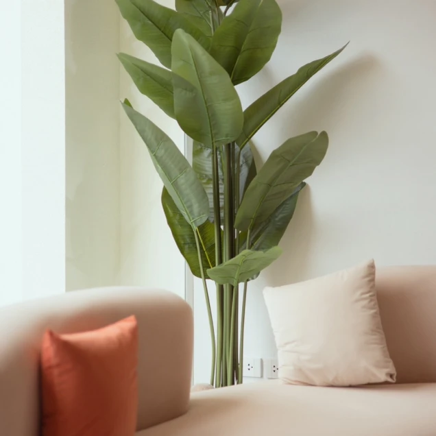 Banana Clinic เชียงราย (บานานาคลินิกเวชกรรม) photo 9