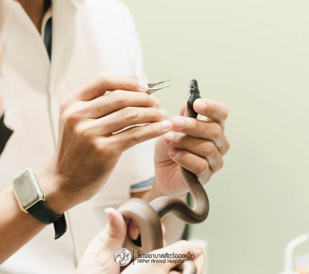 Allpet Animal Hospital photo 7