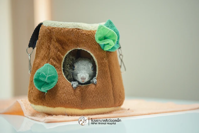 Allpet Animal Hospital photo 10