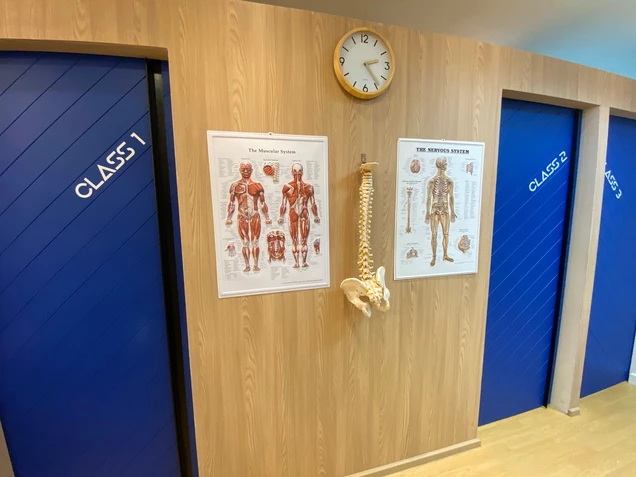 Newton EM Physiotherapy Clinic (นิวตั้น เอ็ม คลินิกกายภาพบำบัด) photo 11