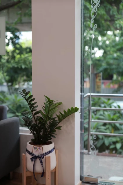 Ratchavipa Dental Clinic (คลินิกทันตกรรมรัชวิภา) photo 8