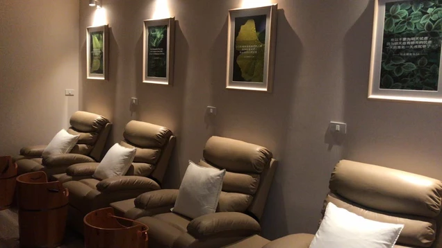 Grace TCM Clinic photo 14