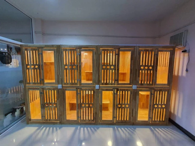 โรงพยาบาลสัตว์ลาดปลาดุก (LPD Pet Hospital) photo 5