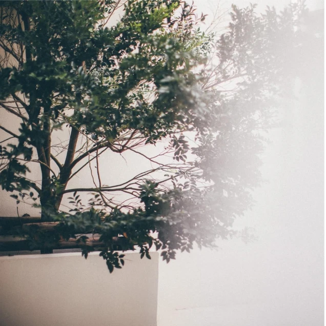 Clinic Alynn photo 14