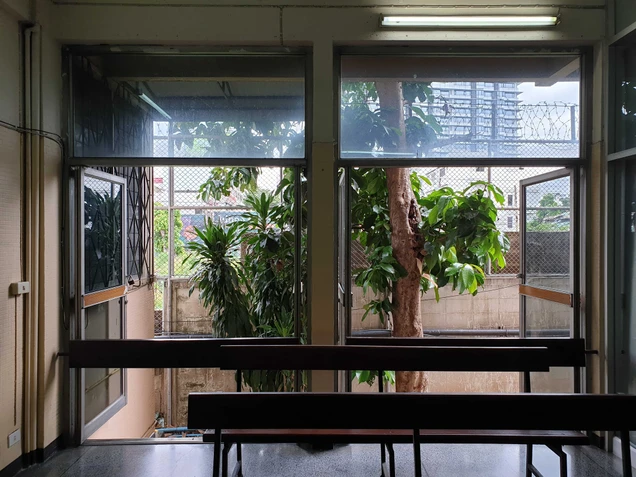 Body Adjust Wellness photo 4