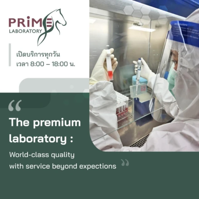 Prime Laboratory Bangkok photo 3