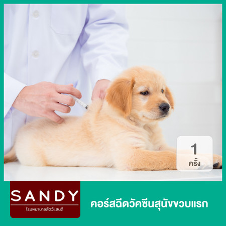 ฉีดวัคซีนรวม 5 โรค วัคซีนพิษสุนัขบ้า และถ่ายพยาธิ สำหรับสุนัข ที่  โรงพยาบาลสัตว์แสนดี 24 ชั่วโมง - ราคา 2566 (2023) | Hdmall