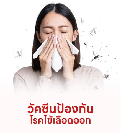 ไข้เลือดออก