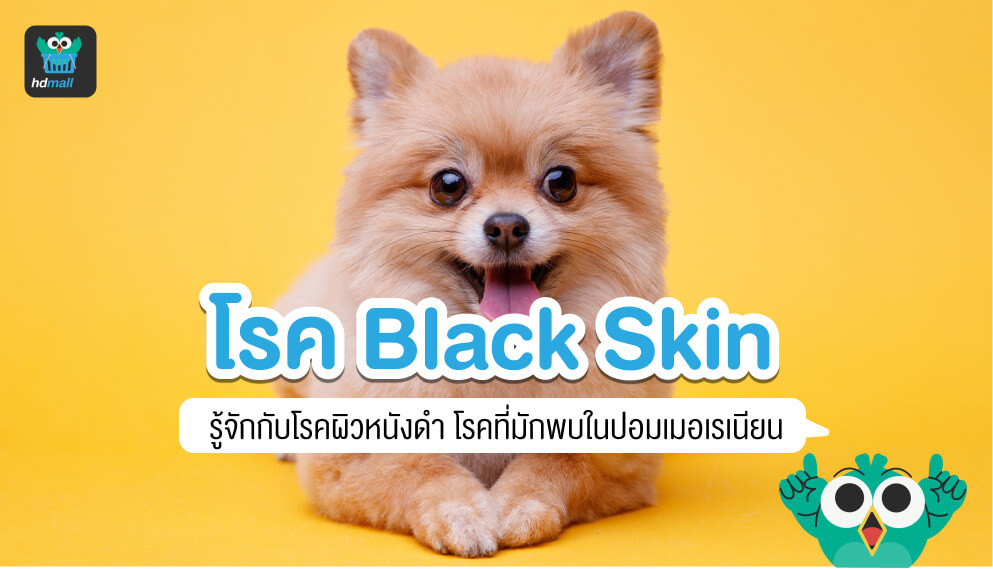 black-skin-hdmall