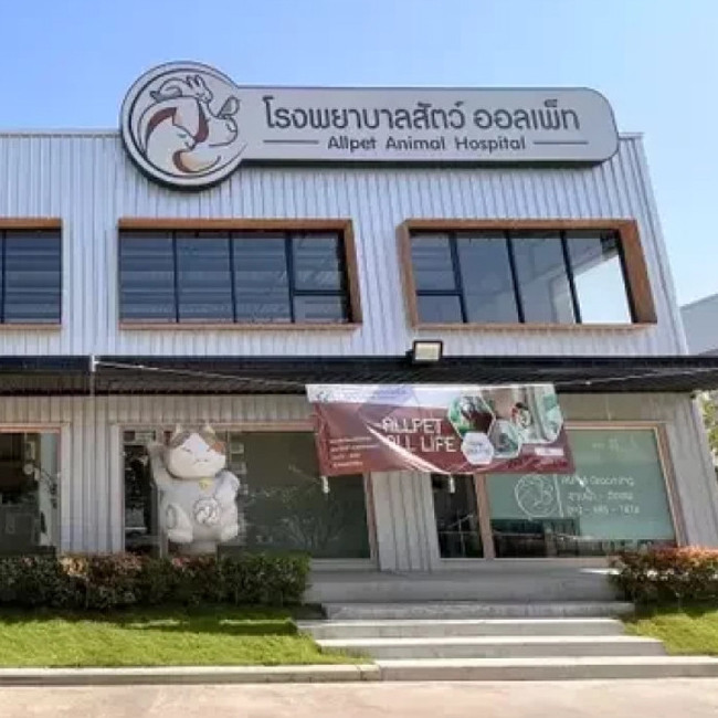 Animal Hospital Wellness Pet Clinic Animal Wellness Veterinary