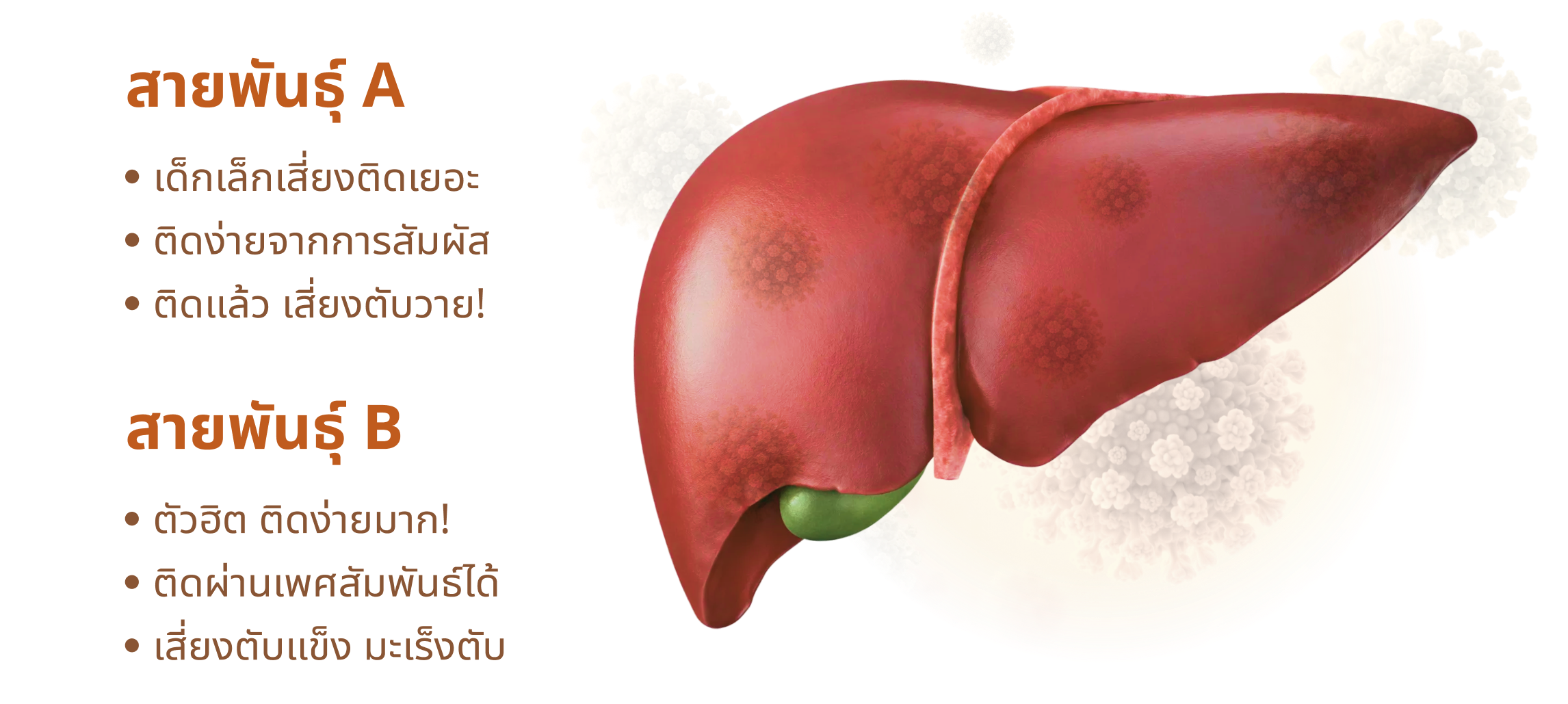 HPV vaccine clinic booking option with promotional offers and special deals