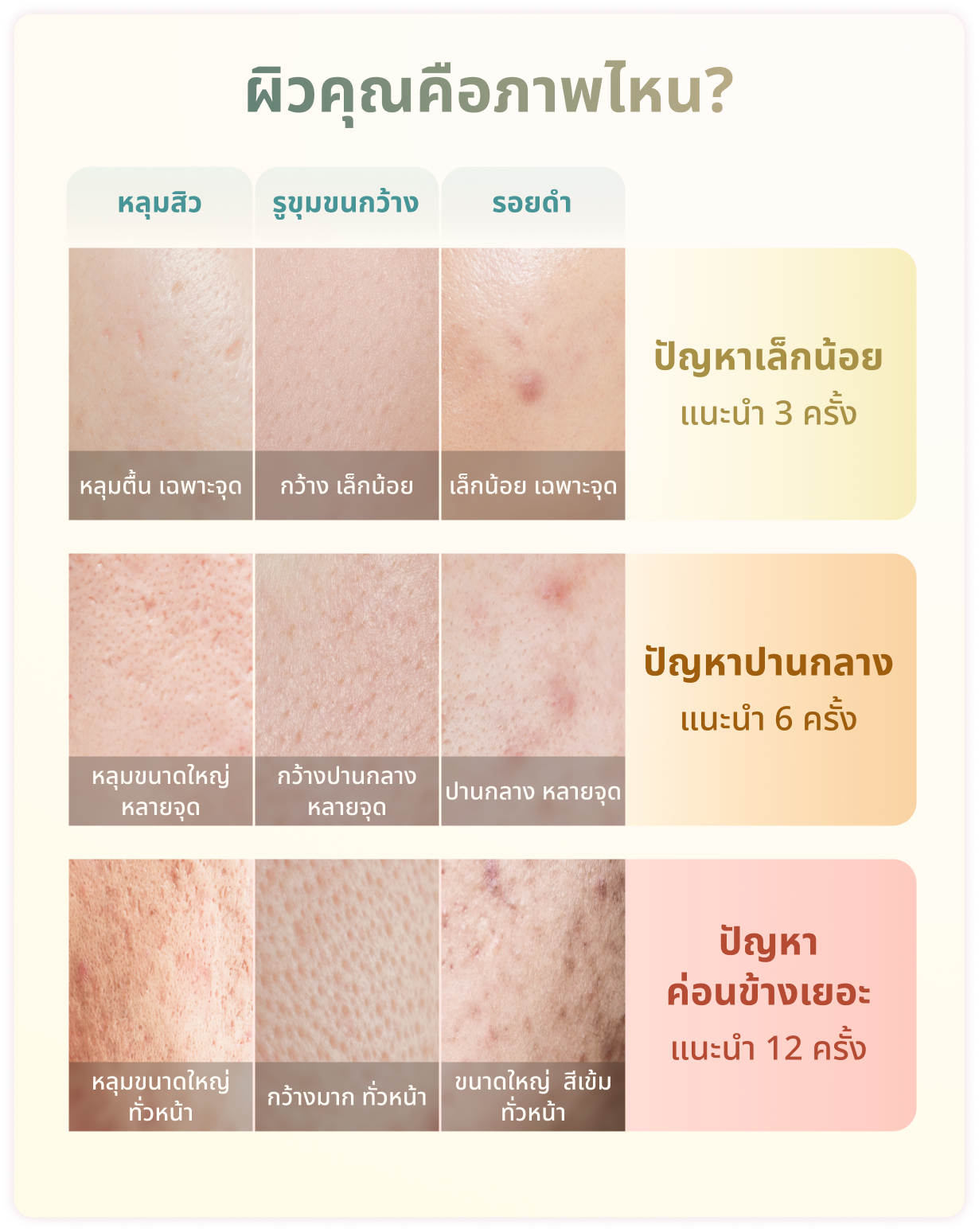 เลือกคอร์สที่เหมาะกับคุณ